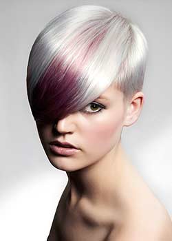 © THE WESTROW ARTISTIC TEAM HAIR COLLECTION